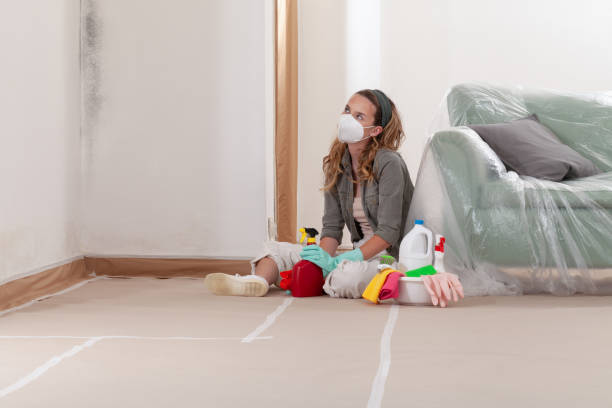 Reliable Mold Remediation contractor in Lansing, MI by 24 Hour Mold Removal